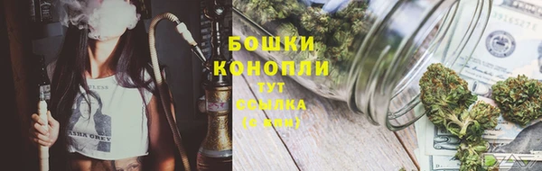 ECSTASY Заводоуковск
