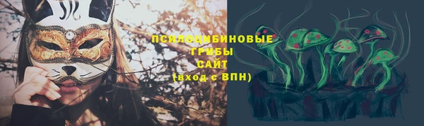 ECSTASY Заводоуковск