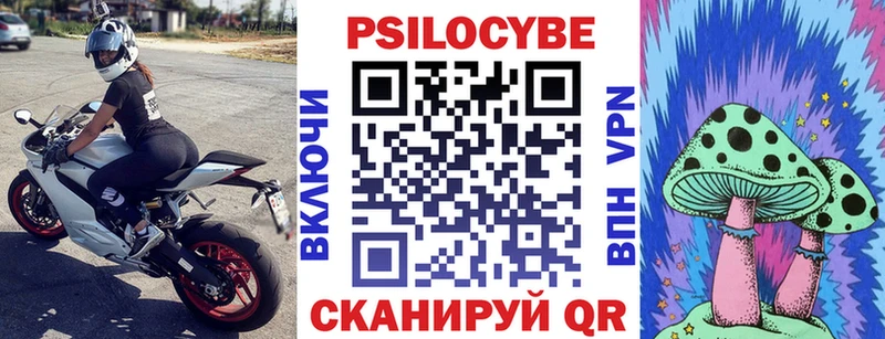 купить наркотик  Назрань  Псилоцибиновые грибы Psilocybine cubensis 